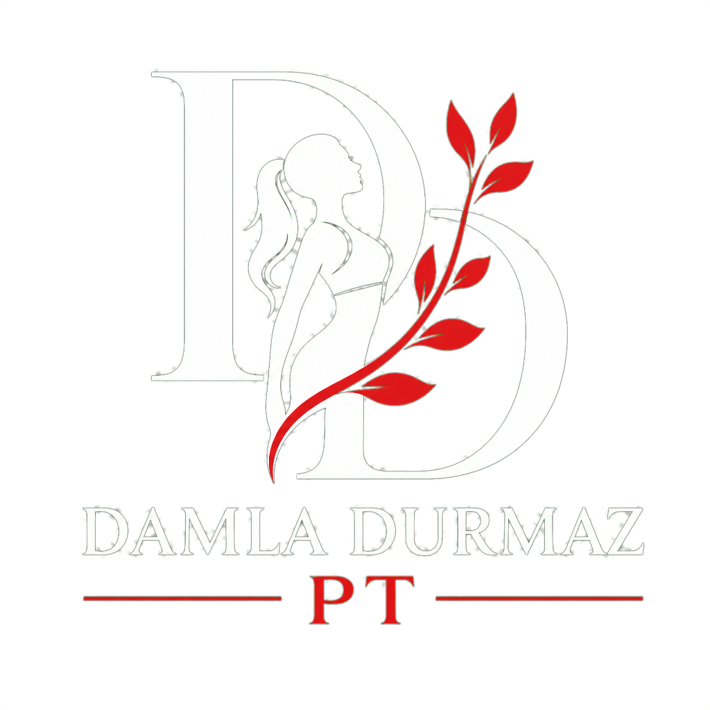 Damla Durmaz Logo